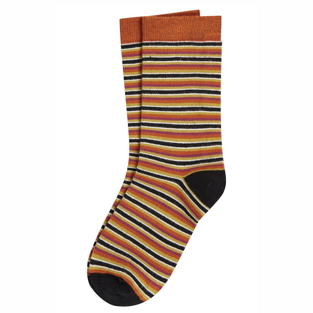 Calcetines Mistral Stripe Multi Color