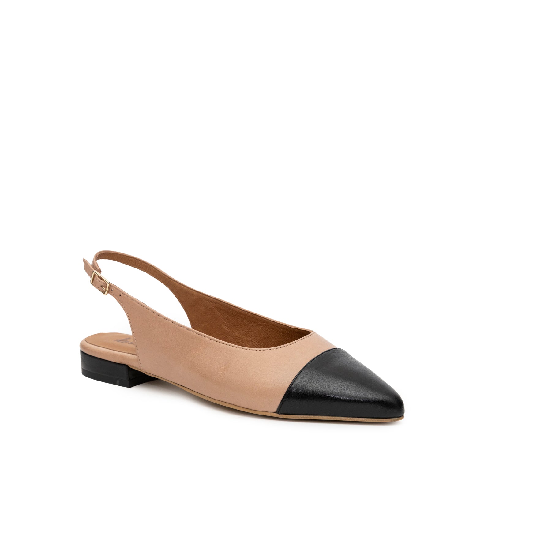 Aurora praliné y negro