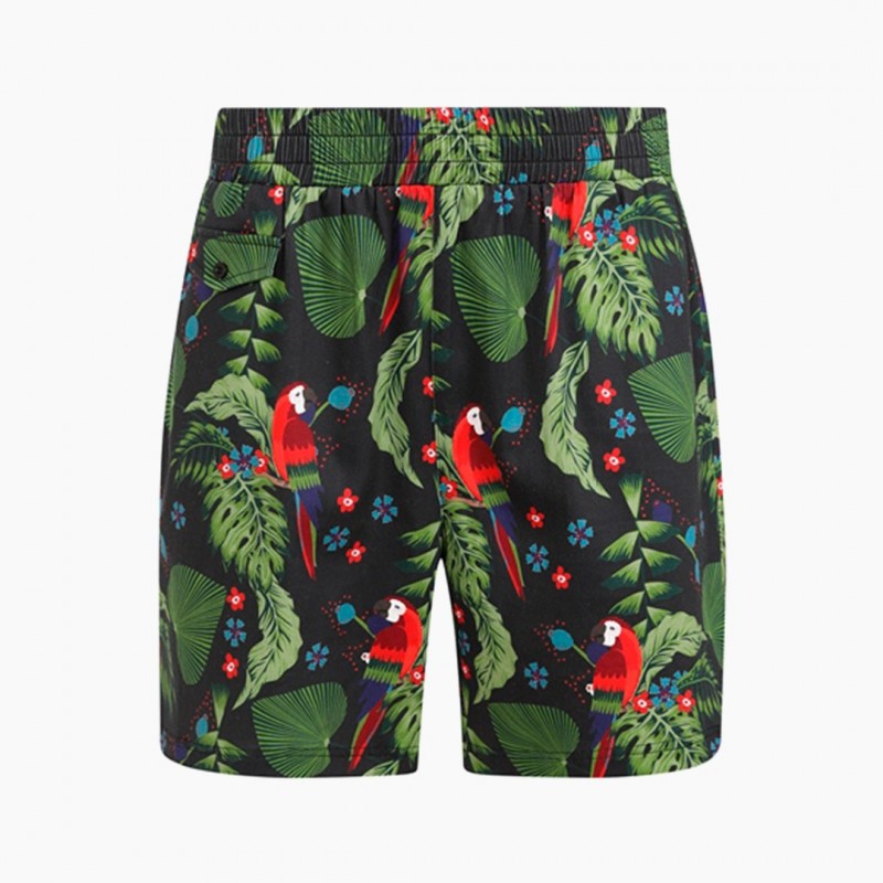 Shorts Martin Parrot Paradise
