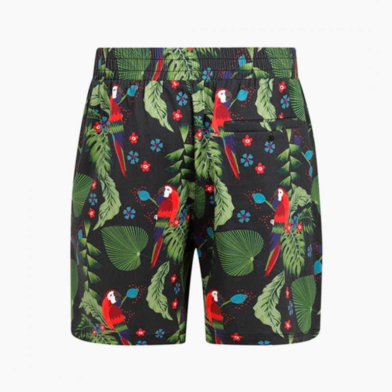 Shorts Martin Parrot Paradise